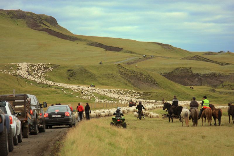 iceland_lifestyle_03